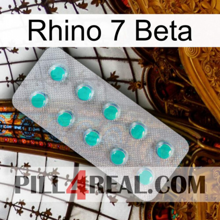 Rhino 7 Beta 28